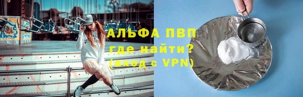 шишки Абаза