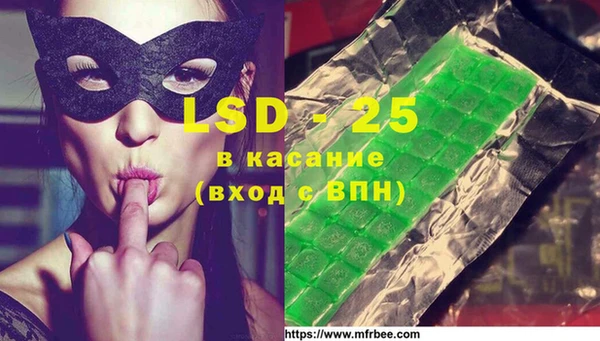шишки Абаза
