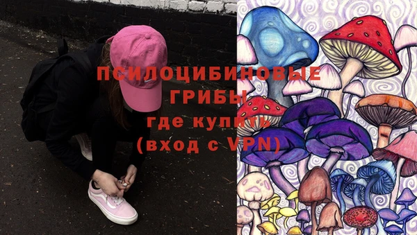 ПСИЛОЦИБИНОВЫЕ ГРИБЫ Абдулино