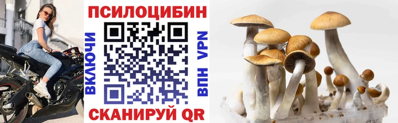 блэк спрут как войти  Балахна  Псилоцибиновые грибы Magic Shrooms 